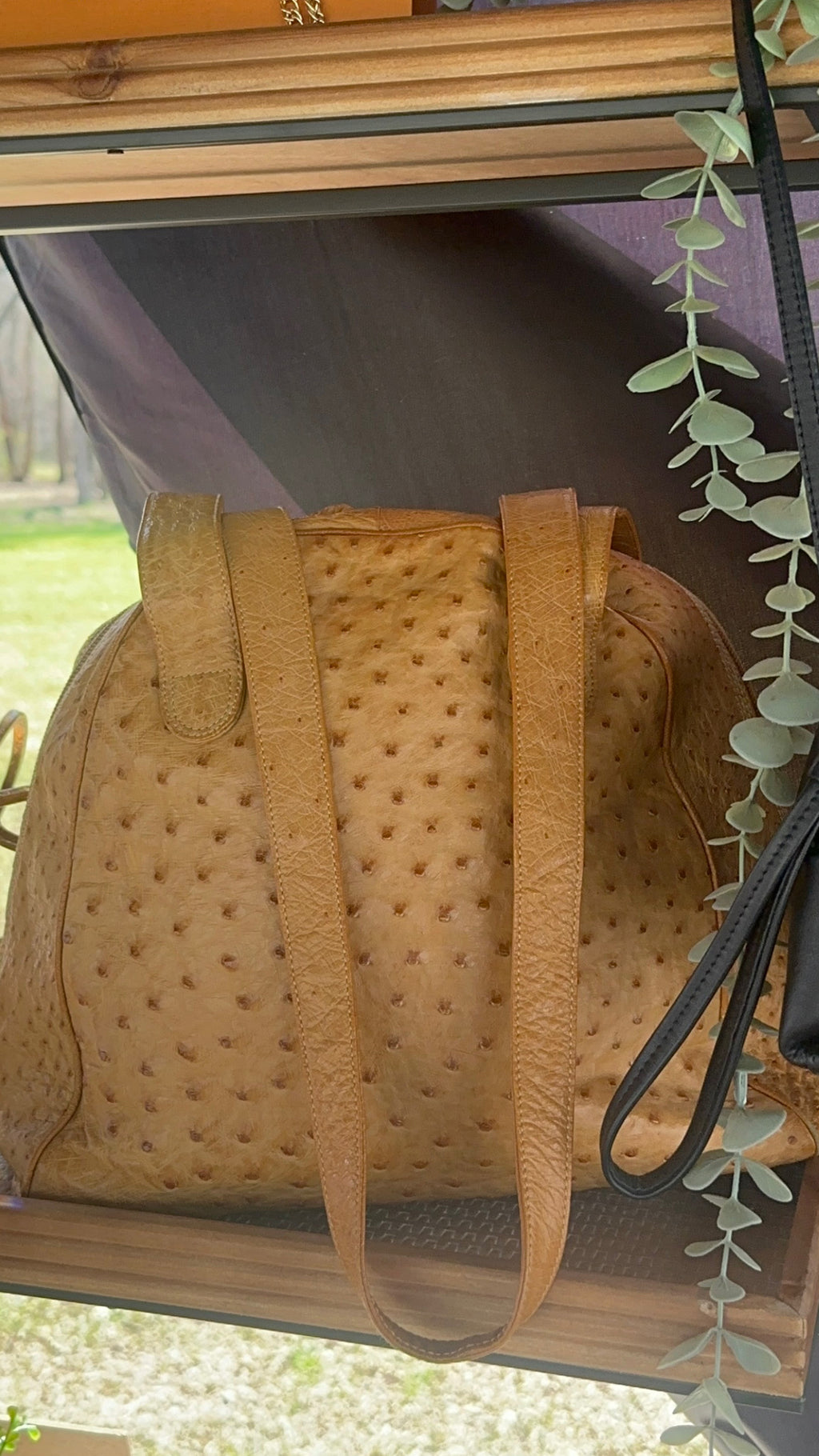 Loewe Genuine Ostrich shoulder bag